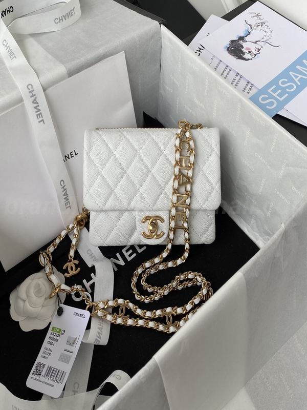 Chanel Handbags 176